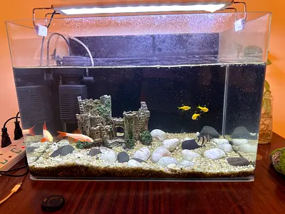 Fish Tank