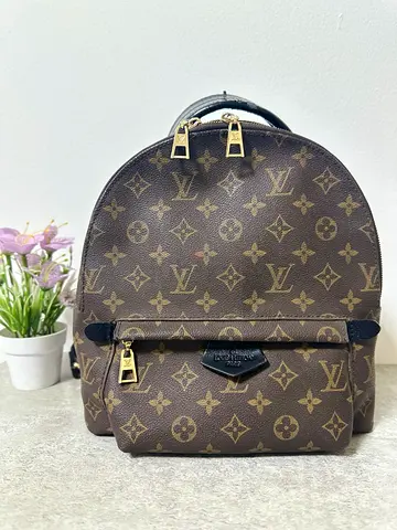 Louis Vuitton STYLE Monogram Palm Springs Medium Backpack