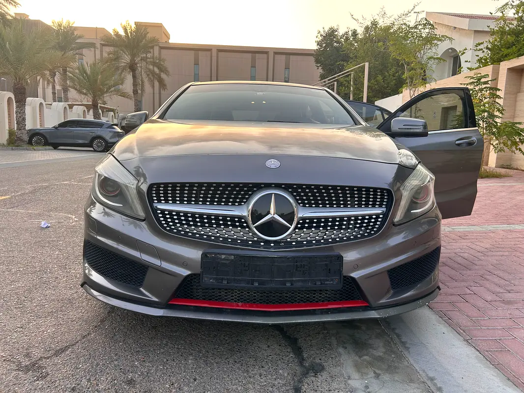 Mercedes-Benz A-Class 2014 — photo 1 of 20