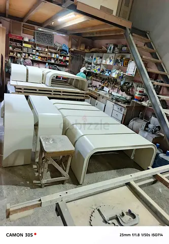 Professional painting and Carpentry