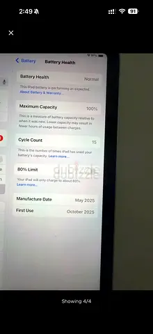 Apple iPad mini with 100% Battery Capacity