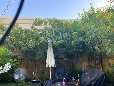 Full garden to sell