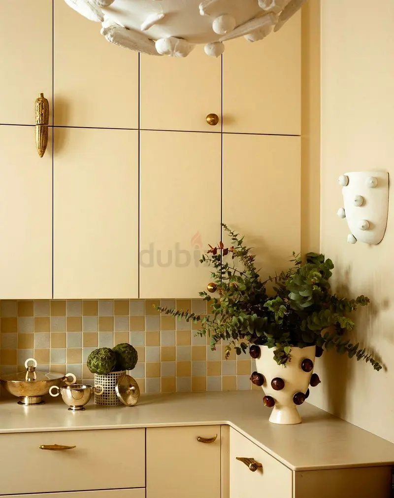 DPV_View_Image_5