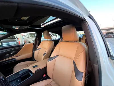 2020 Lexus ES-SERIES 缩略图 12