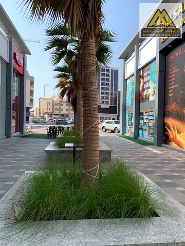 Commercial Shops for Annual Rent in Al Hamidiya – Ajman | Prime Location for Various Business Activities
