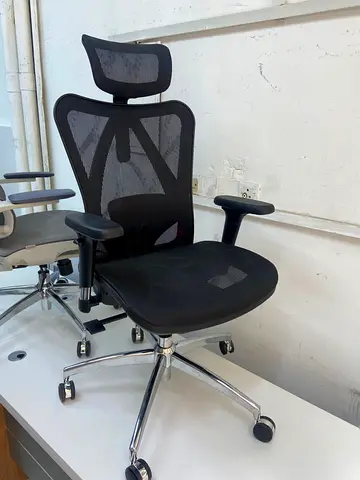 Ergonomic Mesh Office Chair with Headrest - Adjustable Armrests