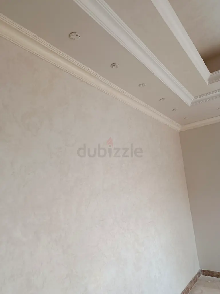DPV_View_Image_0
