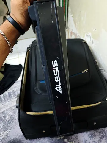 Alesis multi strike pad
