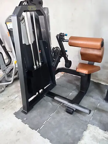 Professional Back Extension Gym Machine