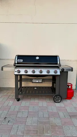 Weber genesis with delivery