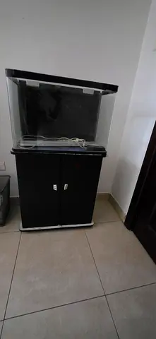 Moulted Fish tank with stand, lighting and filter in Good condition