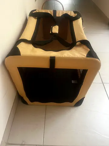 Cat/dog carry on luggage for sale