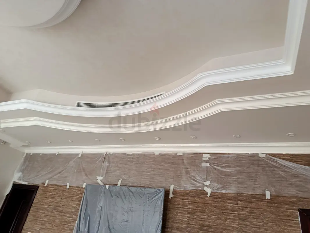 DPV_View_Image_3