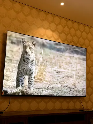 LED 85 inch Sony brand