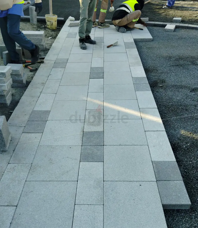 DPV_View_Image_1