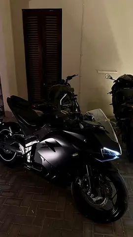 Electrical bike- scrab