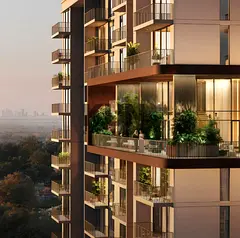 Genuine Resale | Forest View | Multiple Options