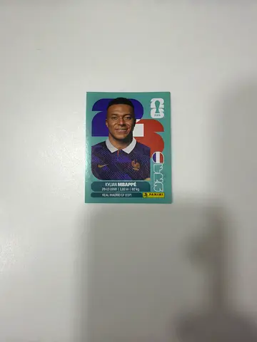 Panini World Cup collectible football sticker/card