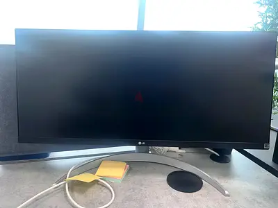 LG Ultrawide Monitor - 29 (Good Working Condition)