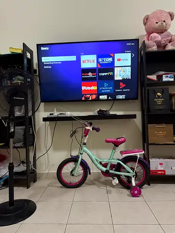 Television