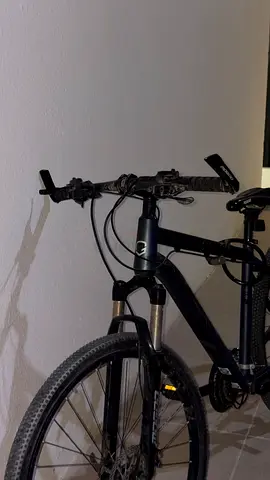 Mountain bike