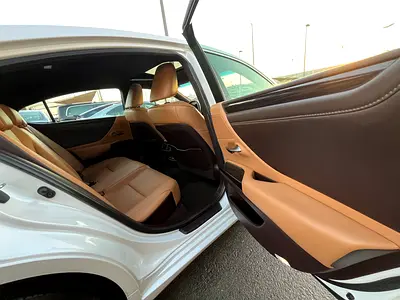 2020 Lexus ES-SERIES 缩略图 13