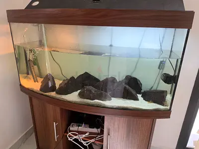 Juwel Rio 260 vision aquarium for sale