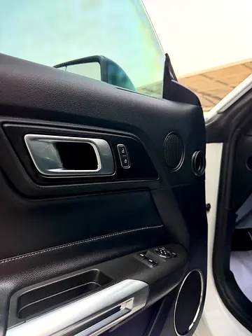 صورة مصغرة 10 لـ 2020 FORD MUSTANG