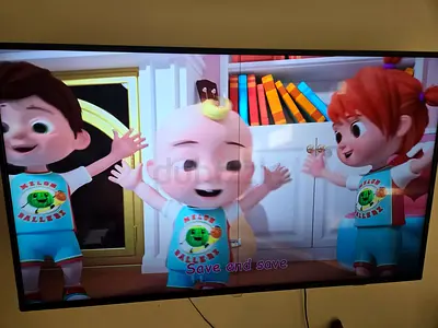 Philips LED Flat Screen TV