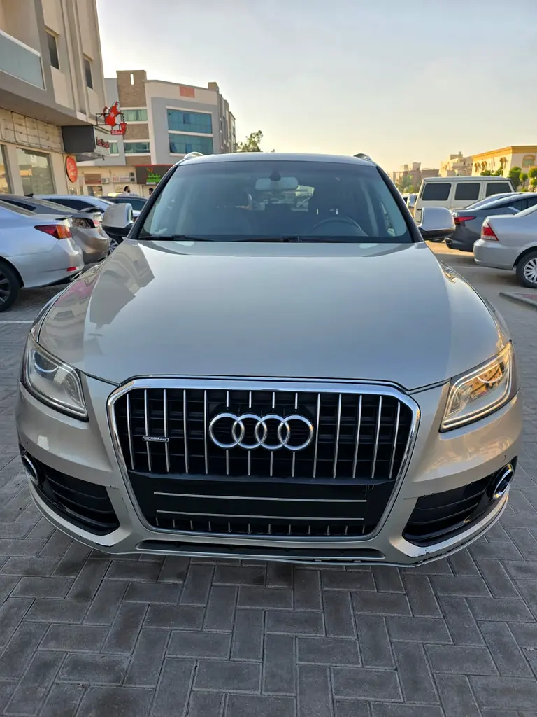 Audi Q5 2015 — photo 1 of 10