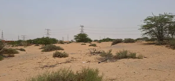 Industrial land for sale in Al-Arqoub | 58,494 sq ft | Ideal for warehouses and light industries | Strategic location