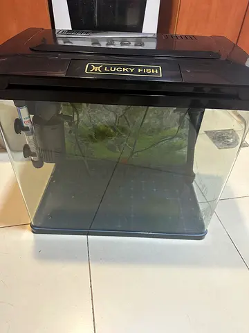 Small Lucky Fish aquarium tank with filter - used, good condition