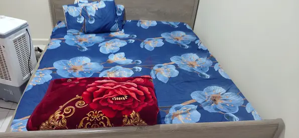 Master Bed Room available  for monthly basis in 1 bedroom apartment - Al Nuaimia 1 AQUA TOWER