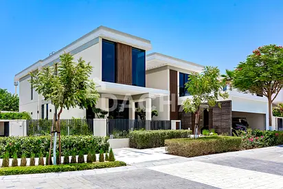 ONE OF A KIND | PARK BACKING | DESIGNER UPGRADED