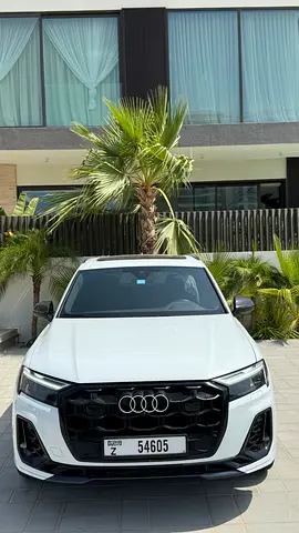 2024 AUDI SQ7 照片 6