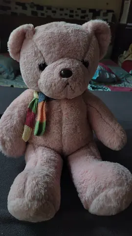 Light pink plush teddy bear with colorful scarf - good condition