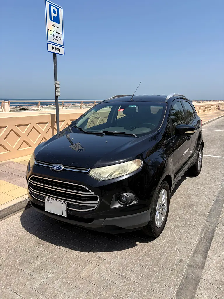 Ford Ecosport 2015 — photo 1 of 13