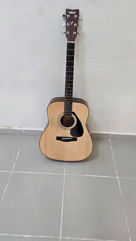 Acoustic guitar