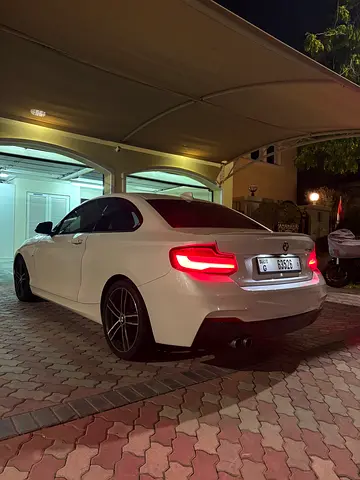 2018 BMW 2-SERIES 照片 2