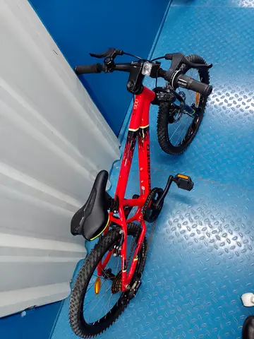 Children Bike_Rockrider ST 900