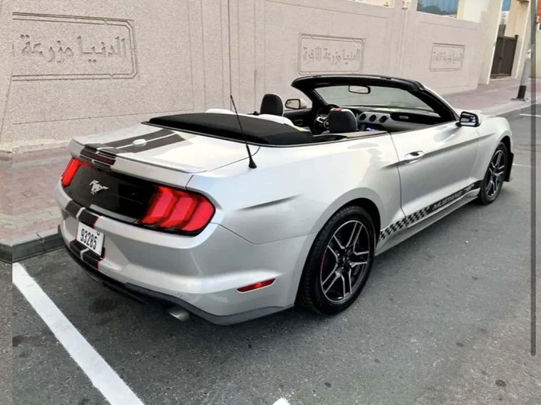 Ford Mustang 2019 — photo 1 of 4