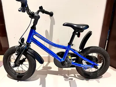 Giant Kids Blue Bicycle with Mudguards