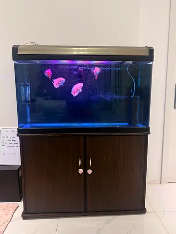 100cm Aquarium Fish Tank with Cabinet and 3 mode adjustable Lighting and large filter - Ready to Use