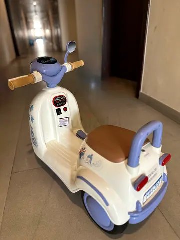 Electric Motorbike with Charger
