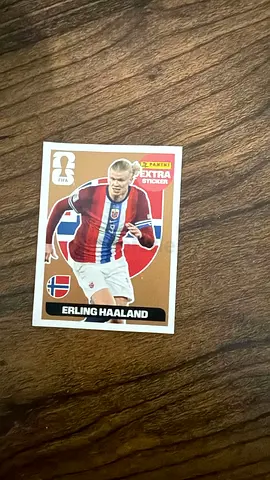 Panini Erling Haaland extra sticker bronze