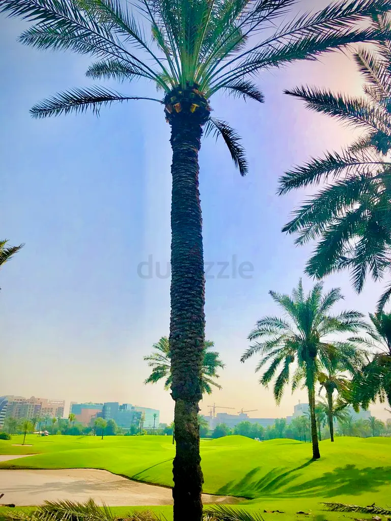 DPV_View_Image_2
