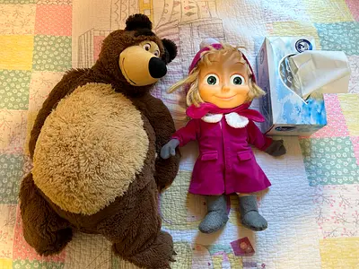 Masha  The Bear