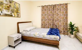 Clean Furnished Room Available for executive working Male/ Female.