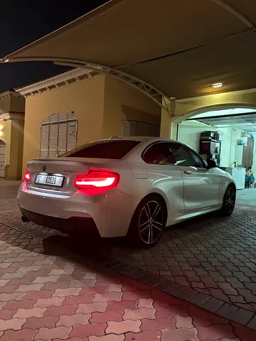 2018 BMW 2-SERIES 照片 3