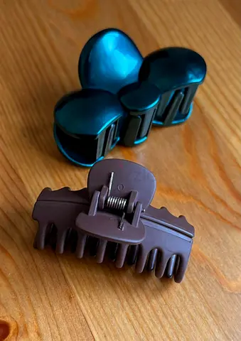 Hair Clips 2